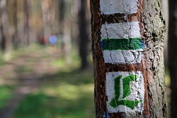 pic_LUTHERWEG Tour 5 Mühlhausen nach Eisenach 6 Tage / 5 Nächte