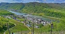 pic_Best of Moselsteig, Trier – Koblenz 8 Tage/ 7 Nächte