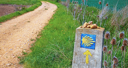 pic_Spanischer Jakobsweg II 