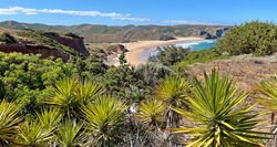 pic_Rota Vicentina 10 Tage/ 9 Nächte