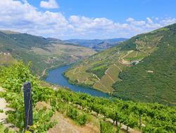 pic_Douro-Tal mit Charme 8 Tage/ 7 Nächte